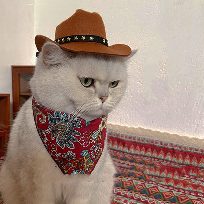 Cat Hat Pet Headwear