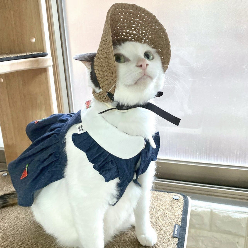 Pet Hat Lace Sun Protection