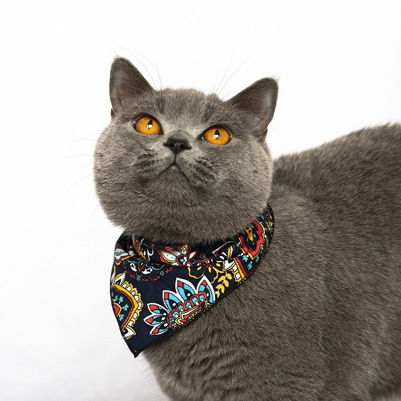 Cat Hat Pet Headwear