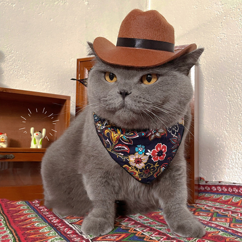 Cat Hat Pet Headwear