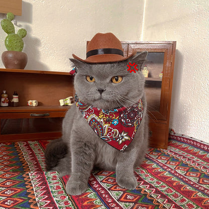 Cat Hat Pet Headwear