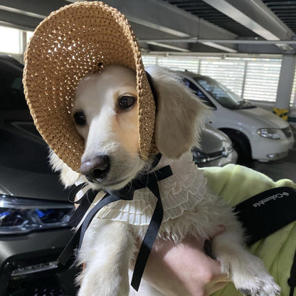 Pet Hat Lace Sun Protection