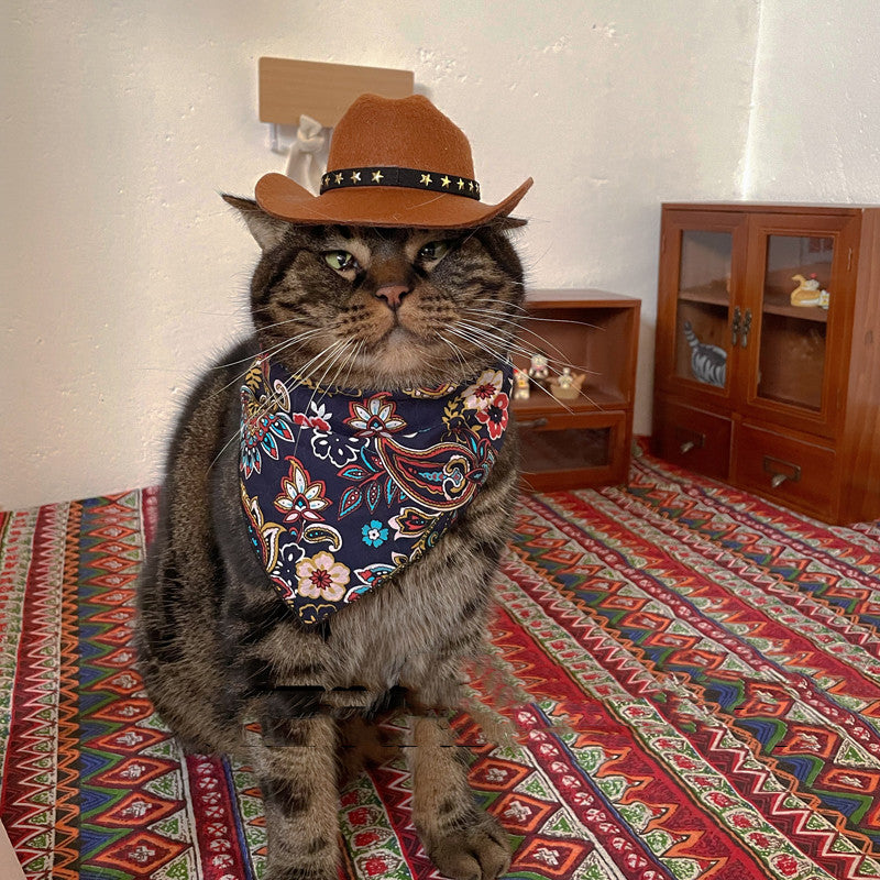 Cat Hat Pet Headwear