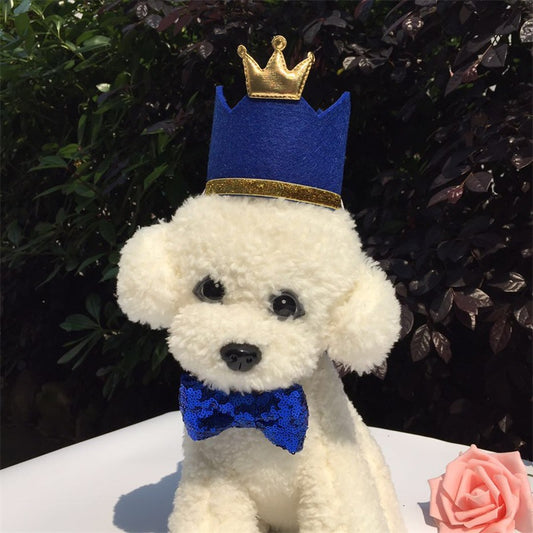 Pet Party Birthday Hat Crown