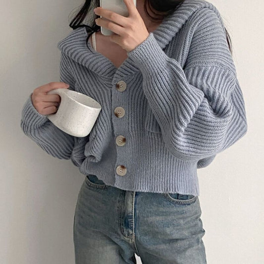 Autumn And Winter Hooded Knit Cardigan