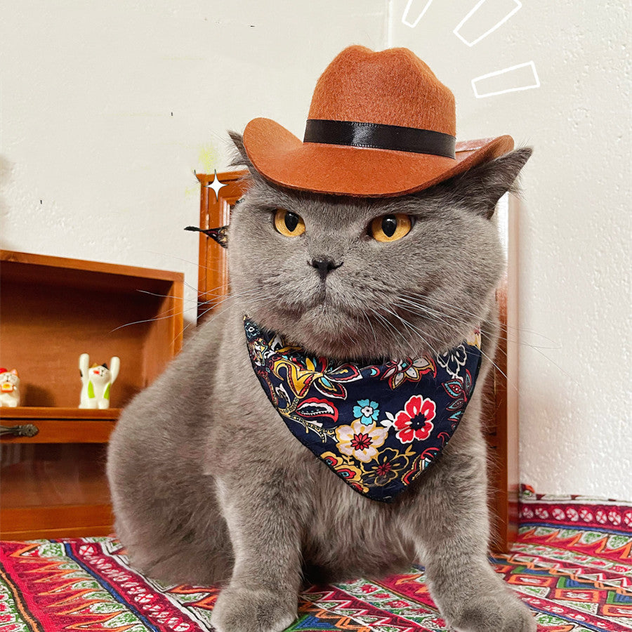 Cat Hat Pet Headwear