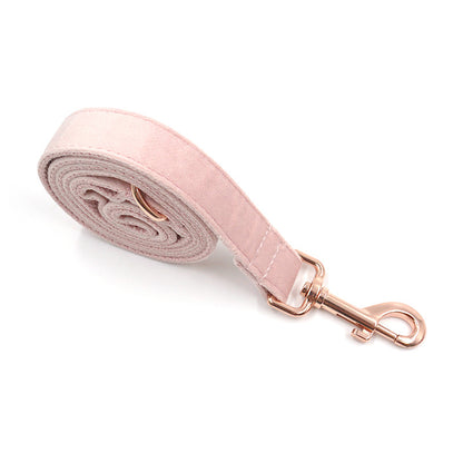 Velvet Rose Gold Pet Collar